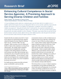Enhancing Cultural Competence in Social Service Agencies: A Promising Approach to Serving Diverse Children and Families cover page