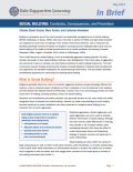 Overview of the Social Bullying: Correlates, Consequences, and Prevention resource page